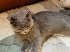-纳吉亚猫专科动物医院博雅分院