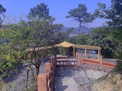 -火炉山森林公园