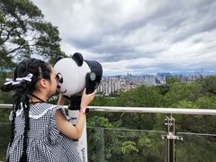 -金鸡山公园
