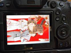 -拾尚映画·STUDIO婚纱摄影(中关村店)