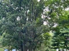 -国家植物园南园