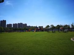 -菊园百果园