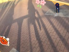 -康庄公园