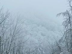 -秦岭风景区