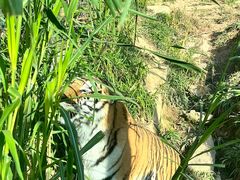 -泉州海丝野生动物世界