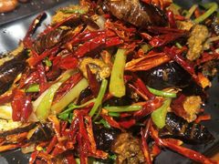 干煸茧蛹-曼听小寨海鲜烧烤(锦绣mini店)