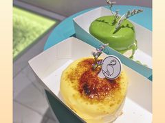-狐狸和向日葵(北京路店)