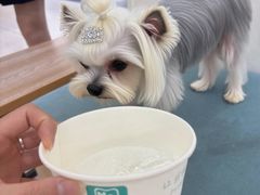 -美联众合动物医院·24h京西诊疗中心