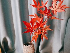 -和里合·颜愈SPA·Relax瑶浴·Massage(石厦店)