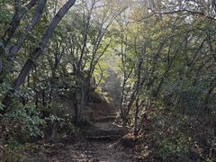 -北京密云天门山风景区