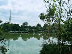 -桃园农庄·桃源宴