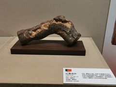 -嘉定博物馆