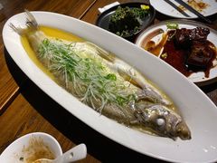 清蒸太湖白鱼-金枝玉叶上海人家食府(三里河店)