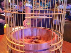 -胡桃里音乐酒馆(曲江店)