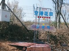 -空港花田景区