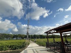 -莲花岛景区