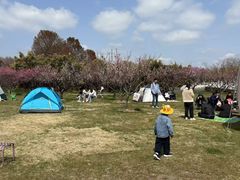 -上海海湾国家森林公园