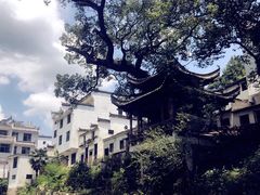 -五龙源极限漂流