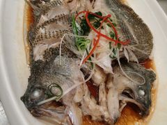 -华盛丰温州大排档(东三环南路店)