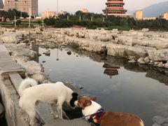 -门城湖公园