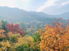 -香山公园
