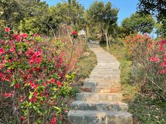 -梧桐山风景名胜区