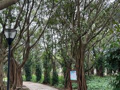 -白沙门生态公园