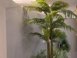 -八佰伴8008星级形象店