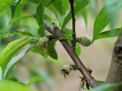 -龙寺生态园