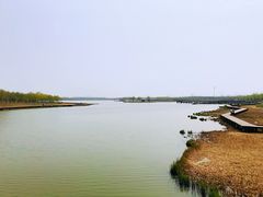 -西青郊野公园