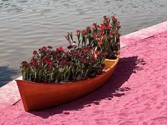 -上海鲜花港