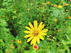 -快活林烧烤(红新路店)