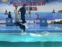 -重庆欢乐海底世界