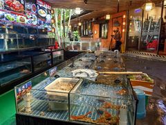 -陶缘一号·四季缘·老字号顺德菜·户外婚礼家宴(西滘店)