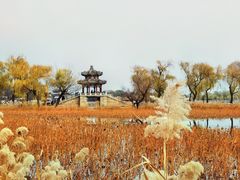 -颐和园
