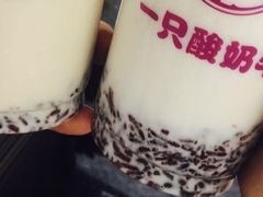 -一只酸奶牛(八一路店)