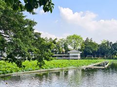 -荔湾湖公园