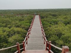 -北海金海湾红树林生态旅游区