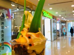 -Salud撒露欧洲冻酸奶(蓝色港湾店)