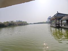 -飞来湖湿地公园