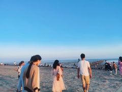 景点-南汇嘴观海公园