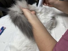 -宠颐生猫科·内科皮肤科(西平世纪城店)