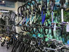 -GIANT捷安特自行车专卖店(金桥台儿庄路店)