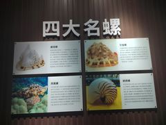 -贝壳王国博物馆