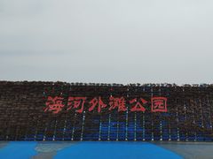 -海河外滩公园