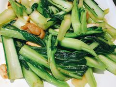 -优之名鹅城