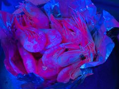 -M-MIX电音烤吧