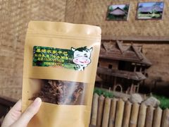 -西双版纳原始森林公园