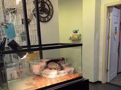 -粉墨私人影院•无人自助(维多利亚店)