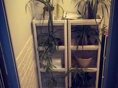 -海胆小馆(东北水饺·春柳店)